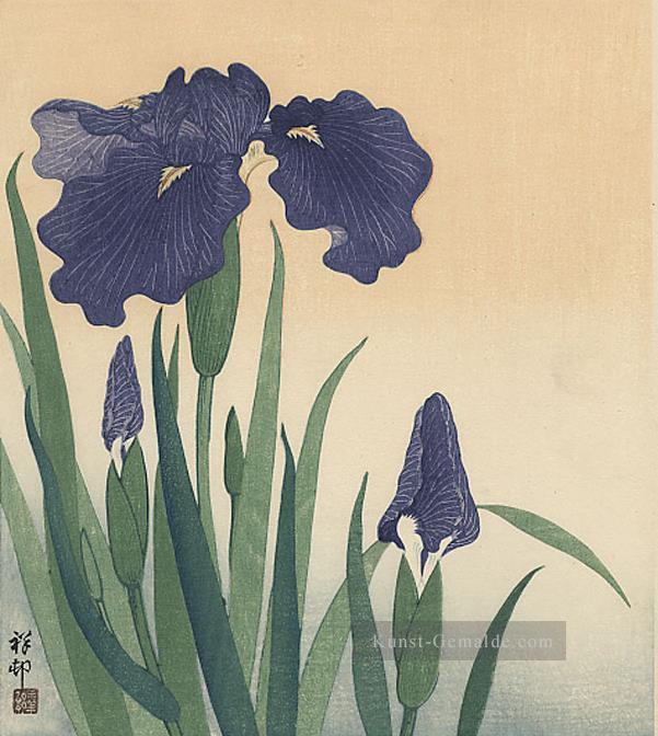 Blüteniris 1934 Ohara Koson Shin Hanga Ölgemälde